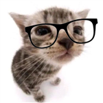 Chernyaev Igor Rustamovich